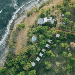 the-bohemian-lagarto